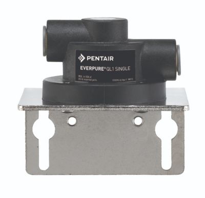 Everpure® EV925617 QL Head: Your Gateway to High - Quality Water