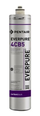 Everpure® 9617-16 4CB5 Replacement Cartridge - Premium Water Filtration Pack